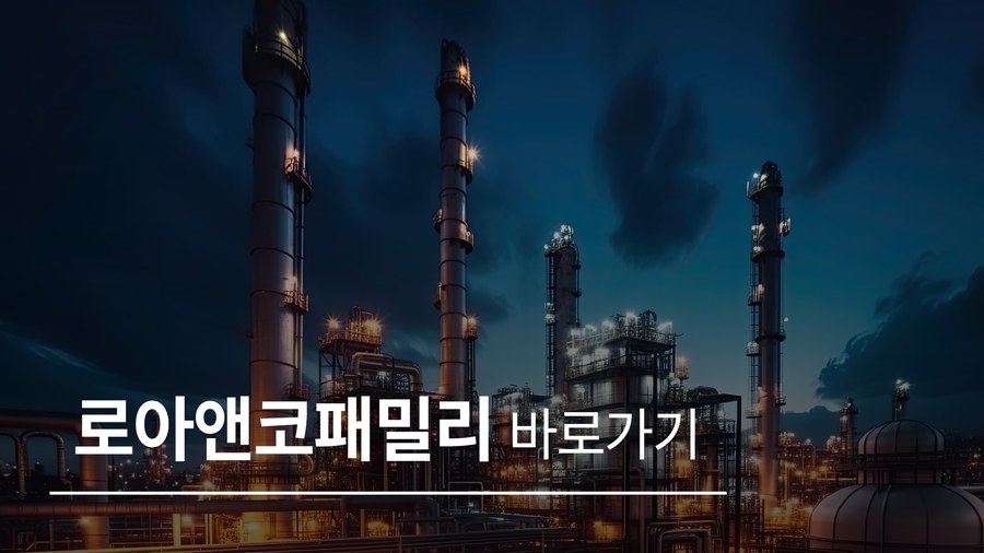 로아앤코패밀리